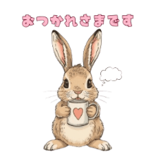 Various rabbits front