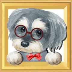 【めがねシュナ】動く！飛び出すお正月