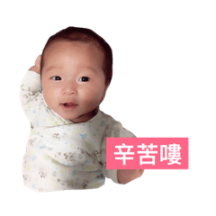 小樂樂日常