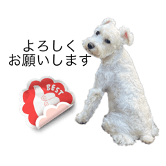 kasumi_20251209092523