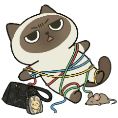 揹著浪跡天涯小包包的樂酷Raku - 暹羅貓