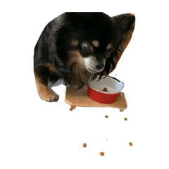 Natsu_20251209114201