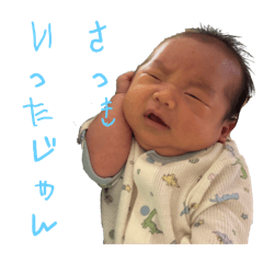 nemori_20251209113809