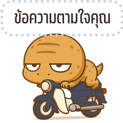 เปลี่ยนข้อความตามใจ: จิ้งจกหัวกลม