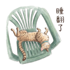 my cat(actually my grandma’s cat)