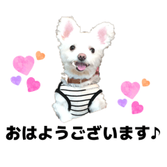 koharu314_20251209135856