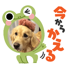 kawasmi_20251209173216
