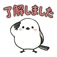 Fluffy Bird Chats part