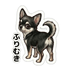 minatiwa_3