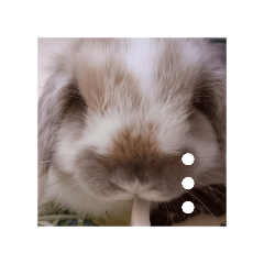 futaba_20251209162651