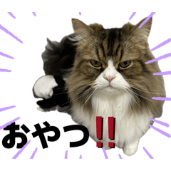 yukio_20251209162043