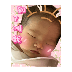 胖達&嘻嘻的日常