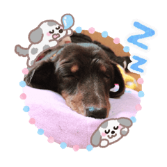 yukina_20251209185728