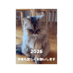 Re_20251210002626