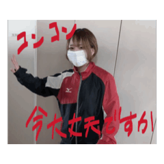 sakura_20251210103634