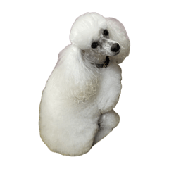 Alain and Kaiser ver.1