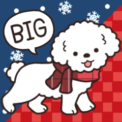 やさしいトイプー『年末年始2026』４