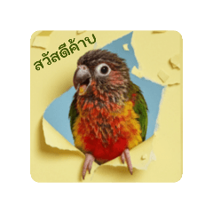 MaaM V.A._20251209133558