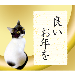 ヤングミツ夫の日常会話(年末年始ver)