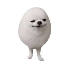 EggRoll Pup Reactions