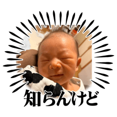 Sho_202512091356041202