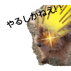 masayan_20251209160959