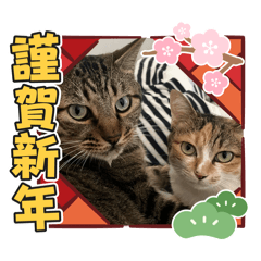 Haruka_20251209200653