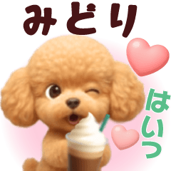 Pretty toy poodle 3D stickers1.1 Midori