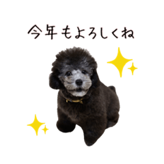 maru azarashi_20251209165604