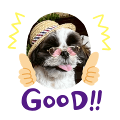 Nozomi_20251209212952