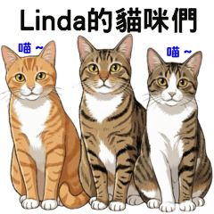 Linda and her cats of New Life so Happy!