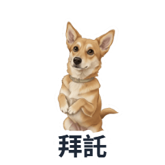 SENDA：呆萌的先打