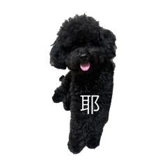 Hi 我是黑糖