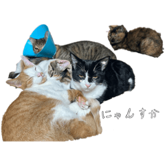 Neko world_20251209211342