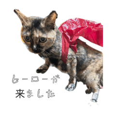 Neko world_20251209221337