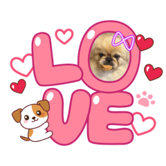 kumakichi_20251209194231