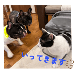 mariru_20251207141712