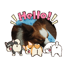 幸福快樂的LOVE樂福