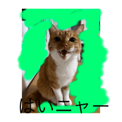 kouta_20251210074401