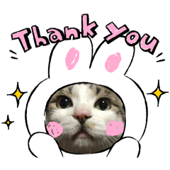 chapi_20251210080112