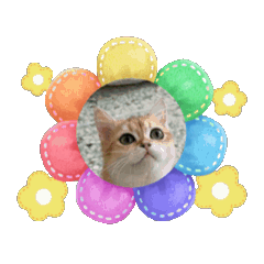 在忙，也要來一杯拿鐵v.1