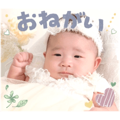 Karin_20251210113659