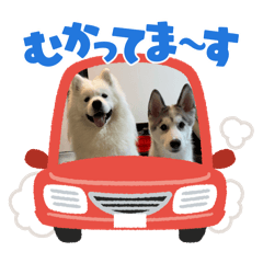 Ame&Goma_20251209213621
