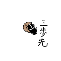 yukki_20251209160854