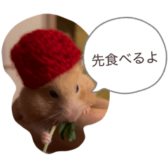 mochu_20251209224231