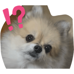 musasi_20251210021837