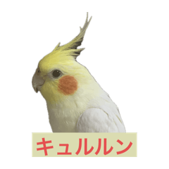 Yonechan cute sticker