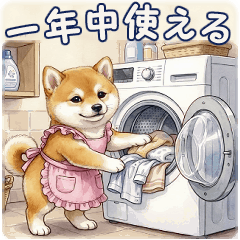 Shiba Inu can be used all year round