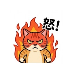 manmarugahaku_20251209230336