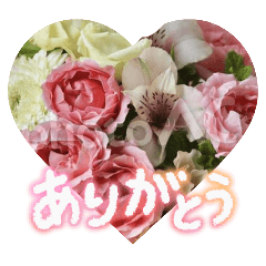 beki-flowerpicture